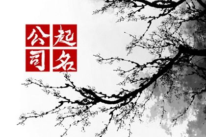企业名称怎么起